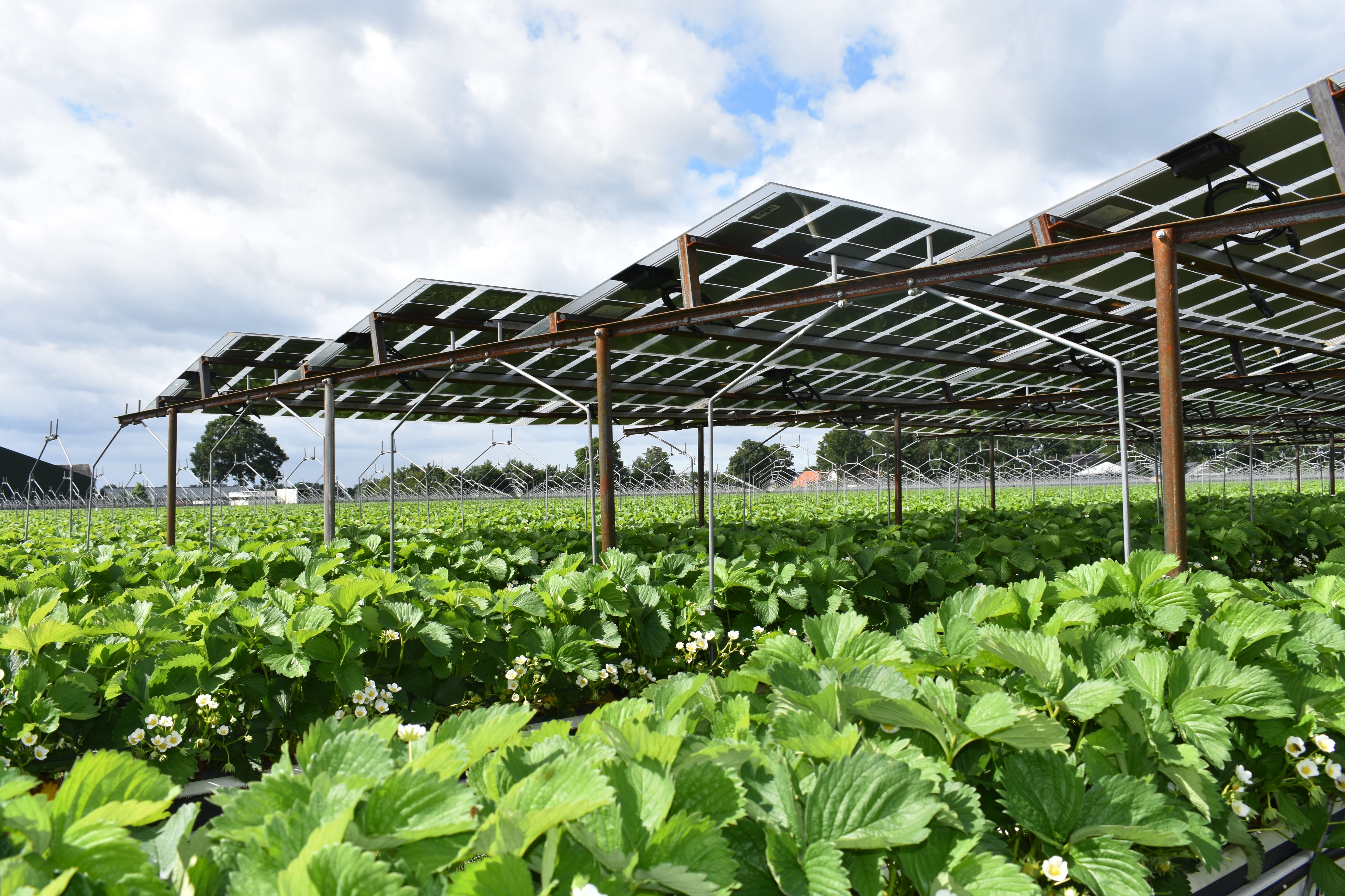 歐洲發展農業太陽能的挑戰與政策規劃趨勢